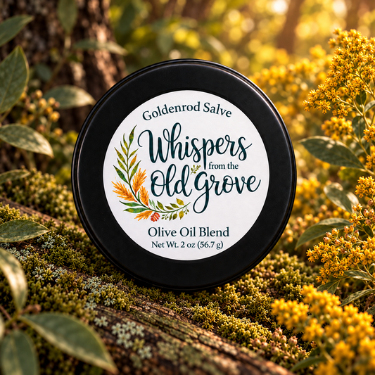 Goldenrod Salve - Olive Oil Base